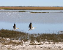 Makgadikgadi Pans